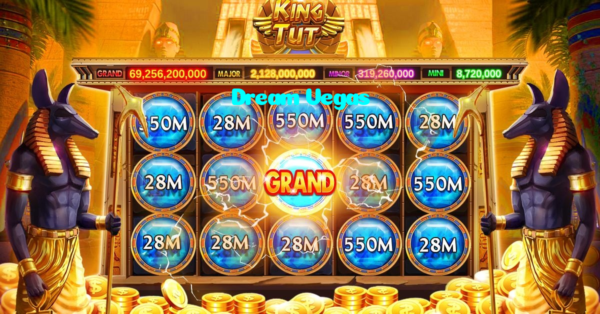 available types of Dream Vegas bet including pre-match live express and system bets